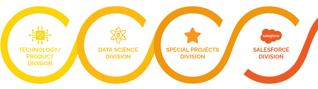 Our Core Divisions